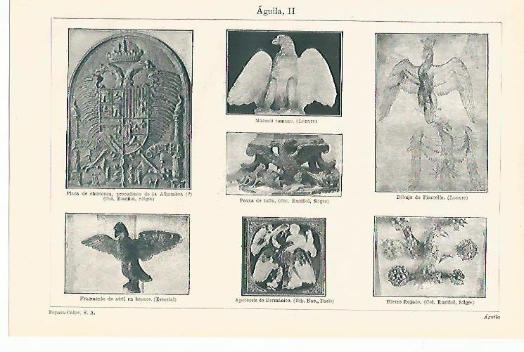 LAMINA ESPASA 12668: Aguila en diferentes elementos de arte
