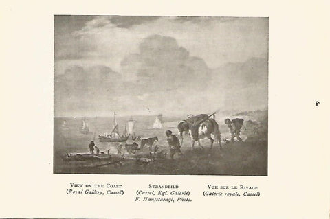 Lamina 435: WOUWERMAN. Vista de la costa