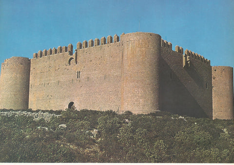 Lamina 0046: Castillo de Montgri (Torroella de Montgri Girona)