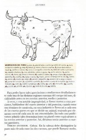 LAMINA COSSIO 50771: Morfologia del toro