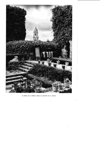 LAMINA 6465: La torre de la catedral desde los jardines de la Alcazaba