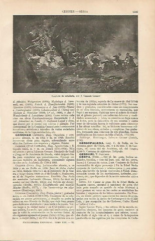 LAMINA ESPASA 24970: Combate de caballeria por J. Conrado Gessner