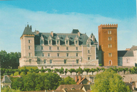 POSTAL 62492 : Pirineo de Francia Chateau Henry IV