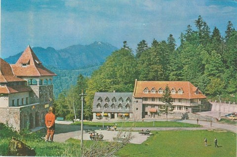 POSTAL 62499 : Piriul Rece. Romania