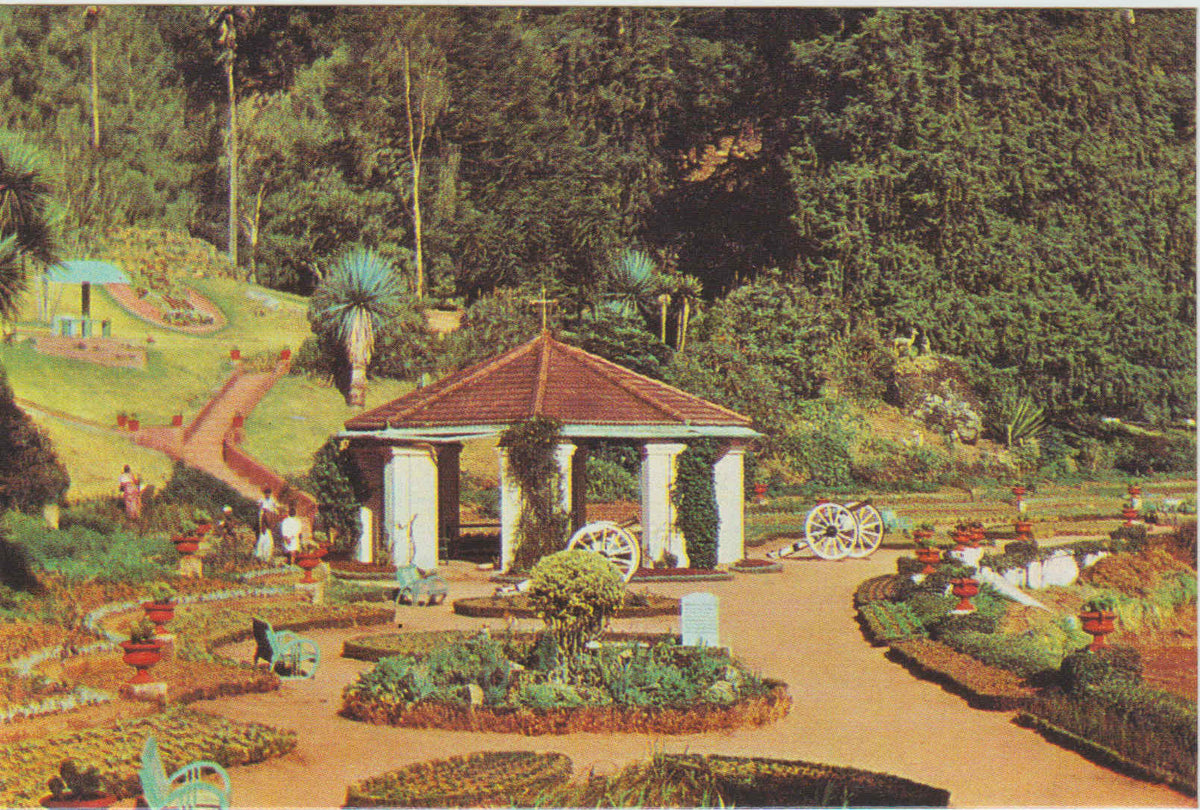 POSTAL 62501 : Sims Park. Ooty India