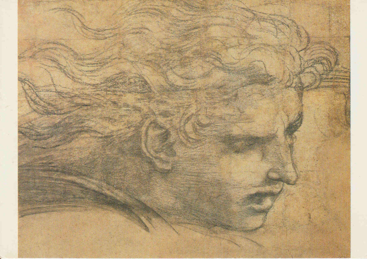 POSTAL 62526 : Raphael. Museo del lovre. Paris. Francia