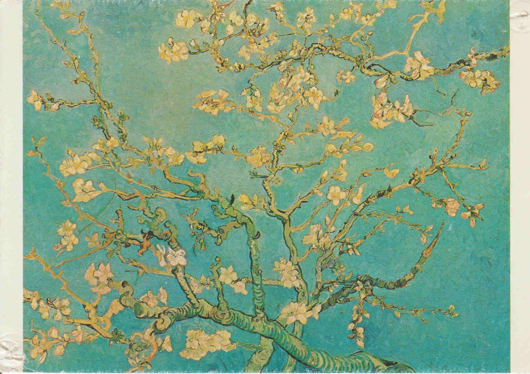 POSTAL 62527 : Rama floreciente de almendra. Vincent van gogh. Saint-Remy. Amsterdam. Holanda