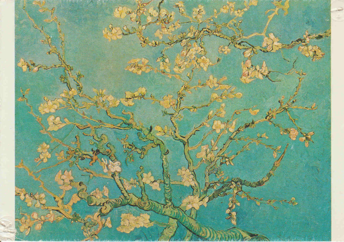 POSTAL 62527 : Rama floreciente de almendra. Vincent van gogh. Saint-Remy. Amsterdam. Holanda