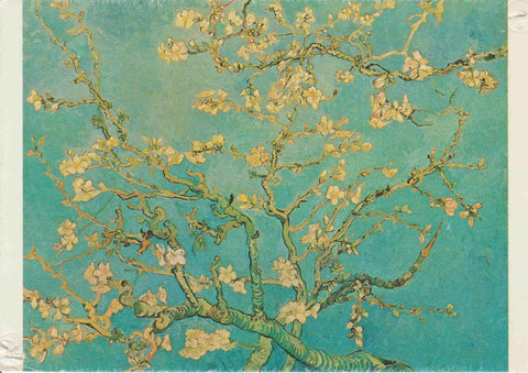 POSTAL 62527 : Rama floreciente de almendra. Vincent van gogh. Saint-Remy. Amsterdam. Holanda