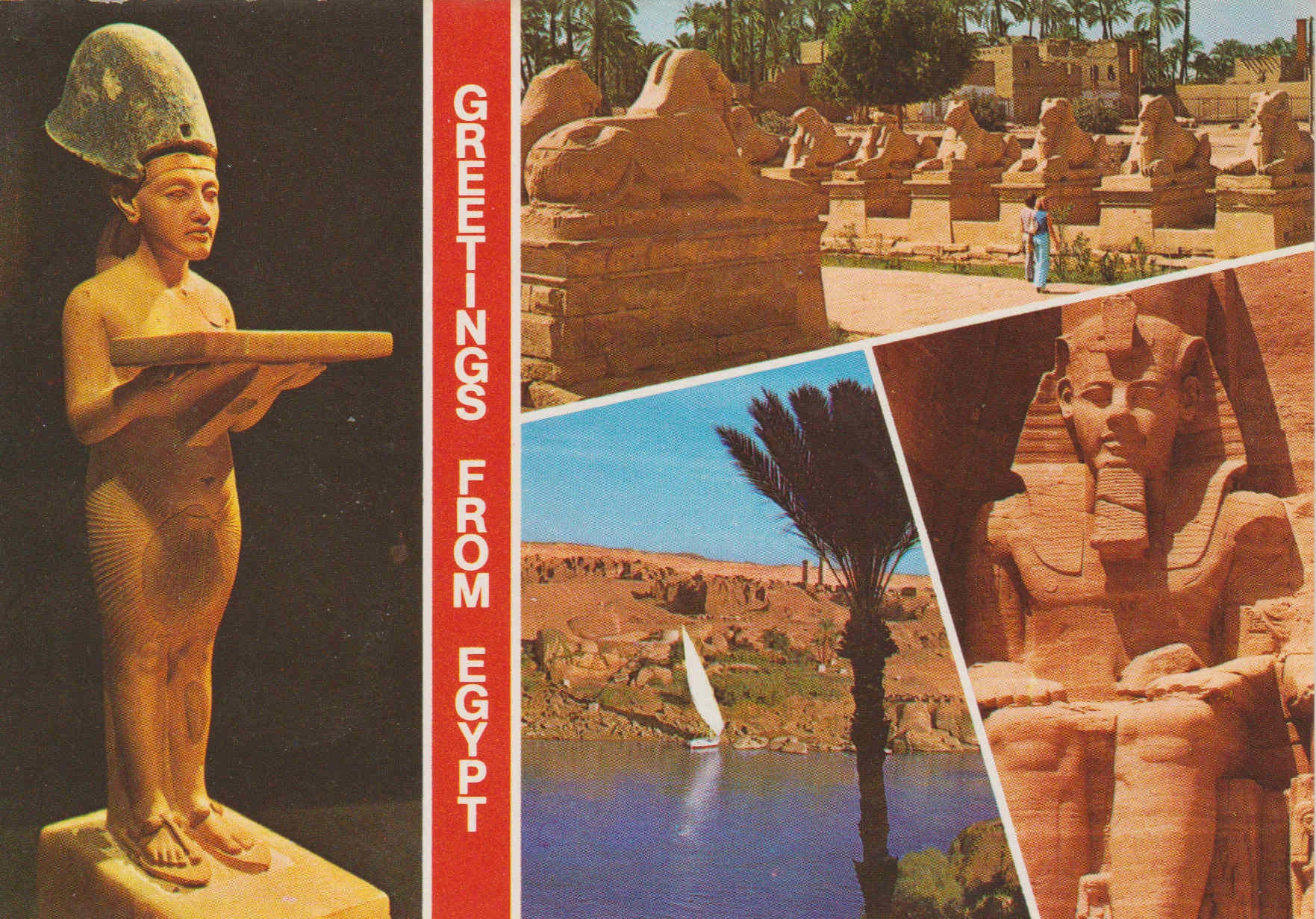 POSTAL 62558 : Rey Akhnaton . Avenida de la esfinge.Estatua  Ramses II .Ciudad de el Cairo. Egipto