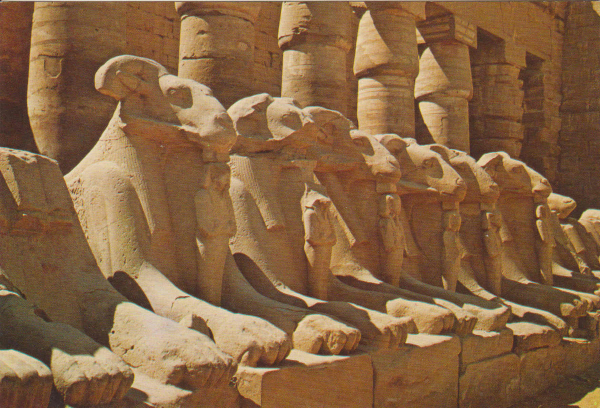 POSTAL 62571 : La famosa avenida de la esfinge en el templo de amon. Karnak. Egipto