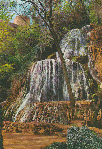 POSTAL 62590 : Monasterio de Piedra. Trinidad. Zaragoza. España