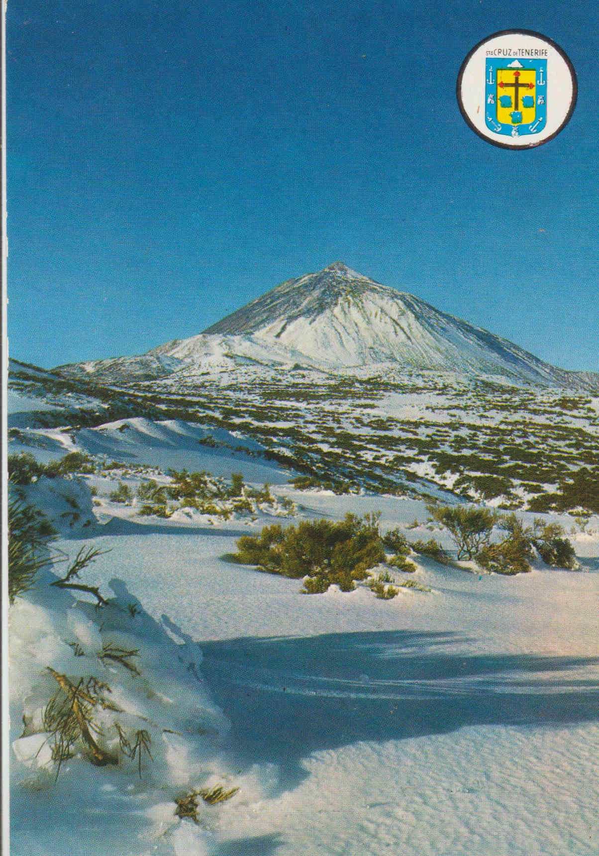 POSTAL 62592 : El Teide. Tenerife. España.