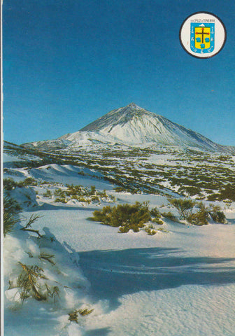 POSTAL 62592 : El Teide. Tenerife. España.