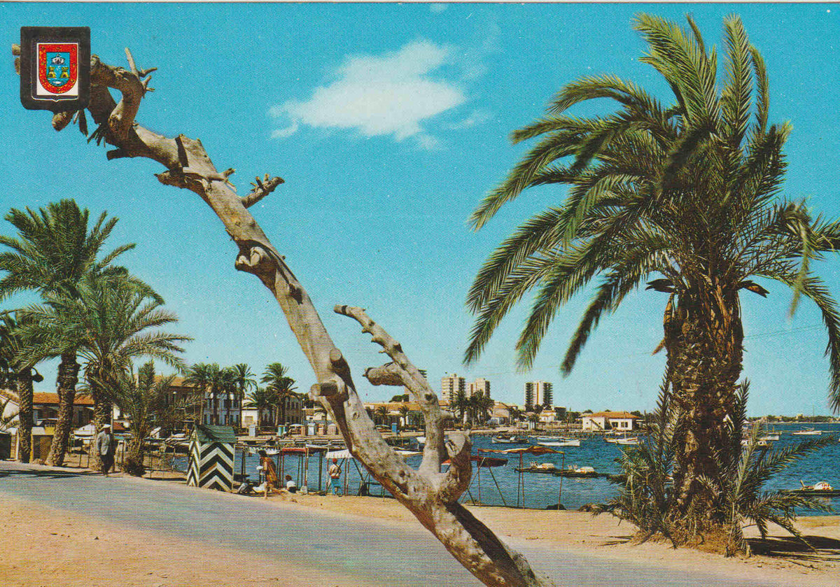 POSTAL 62663 : Santiago de la Rivera. Atracadero de pescadores.Valencia. España