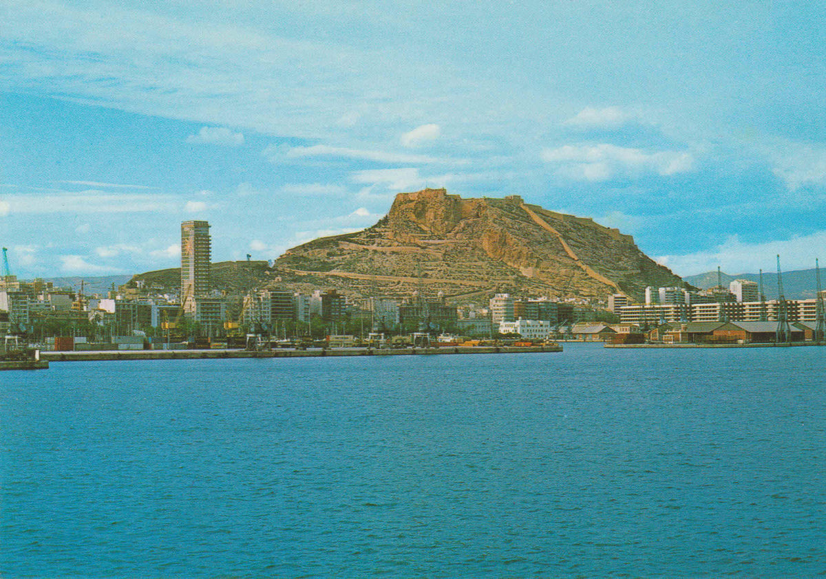 POSTAL 62723 : Alicante. Vista Parcial. España