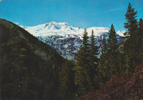 POSTAL 62724 : Pirineo Aragones. Valle de Gistau. Rivera del puerto de la Pez. Al fondo sierra de Culfreda. España