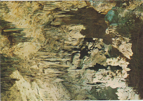 POSTAL 62737 : Cueva de Nerja. Malaga. Sala de los fantasmas. España
