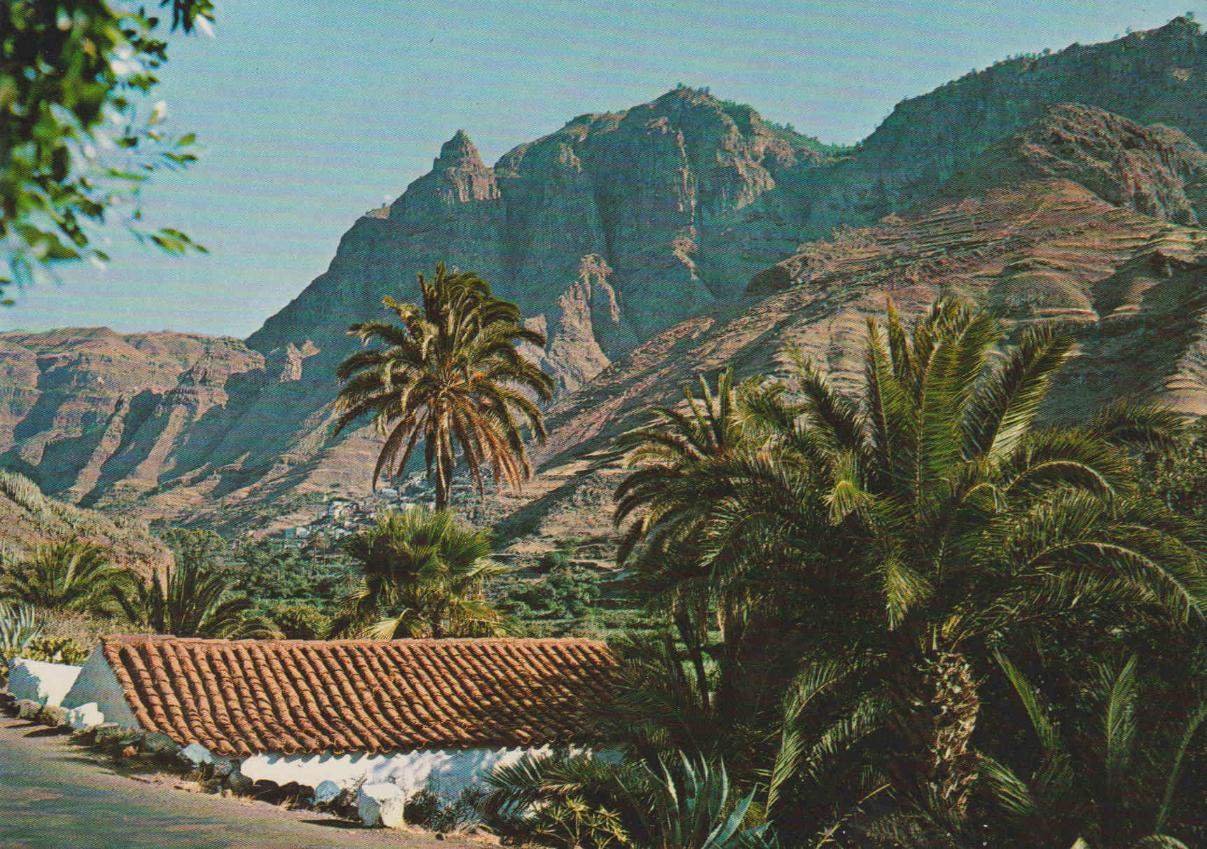 POSTAL 62748 : Gran Canaria. Valle de Agaete. España