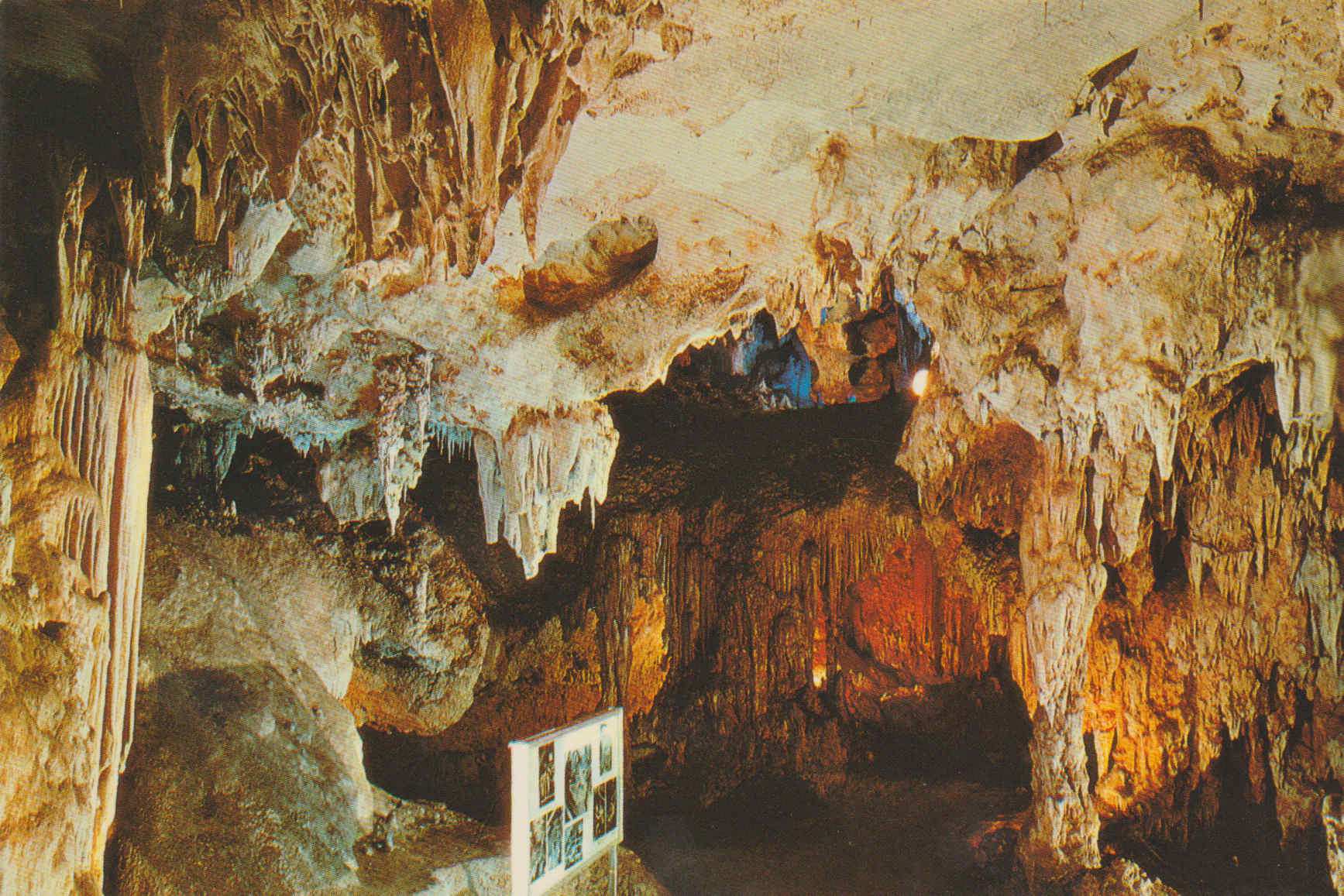 POSTAL 62756 : Cueva de Nerja. Malaga. Sala del Museo. España