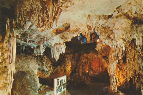 POSTAL 62756 : Cueva de Nerja. Malaga. Sala del Museo. España