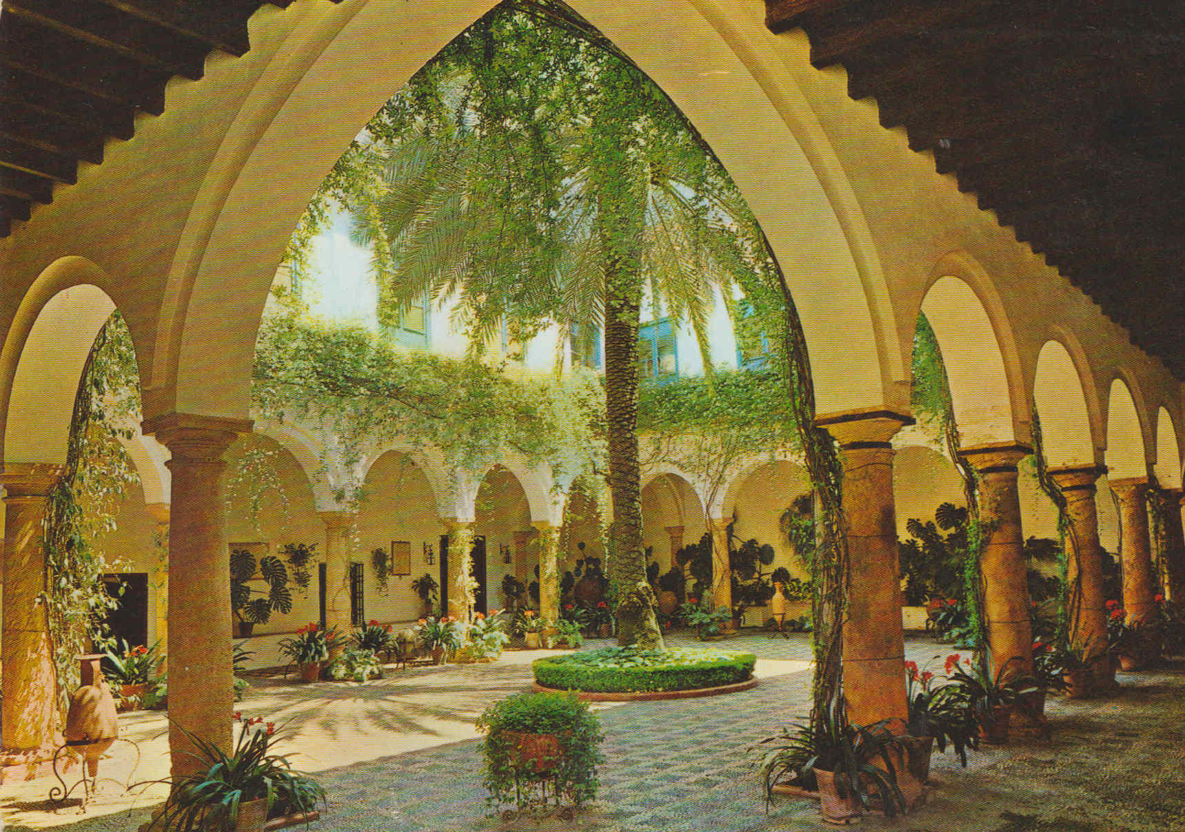 POSTAL 62767 : Cordoba. Vista de un patio (Marques de Viana). España