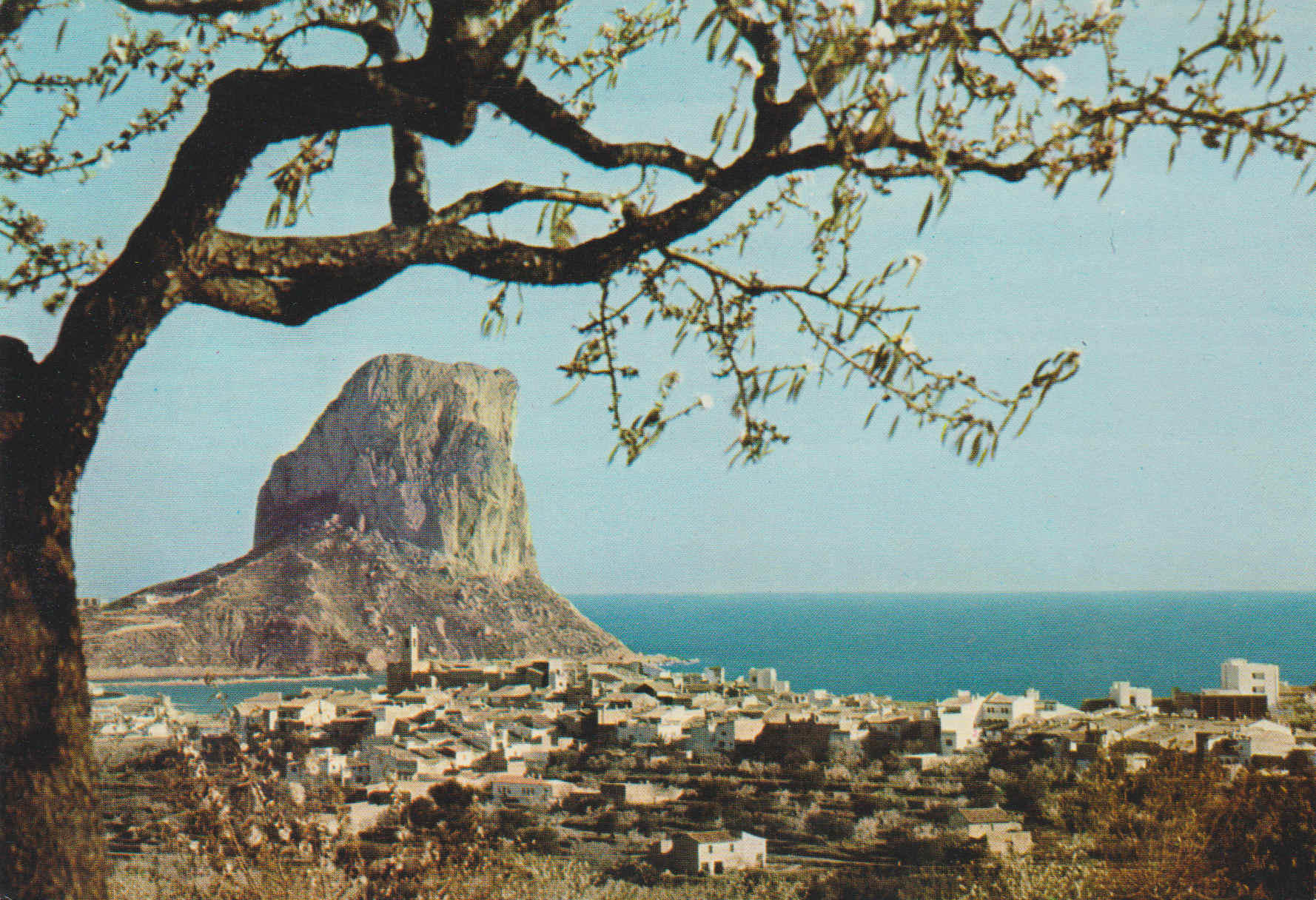 POSTAL 62809 : Alicante. Calpe. Vista general pueblo y Peñon de Ifach. España