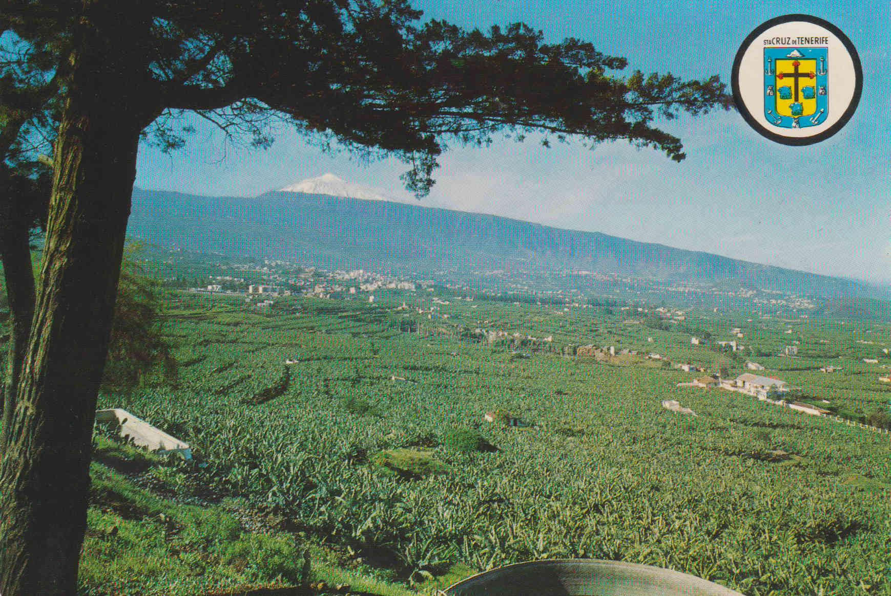 POSTAL 62871 : Tenerife. Valle de la Orotava. España