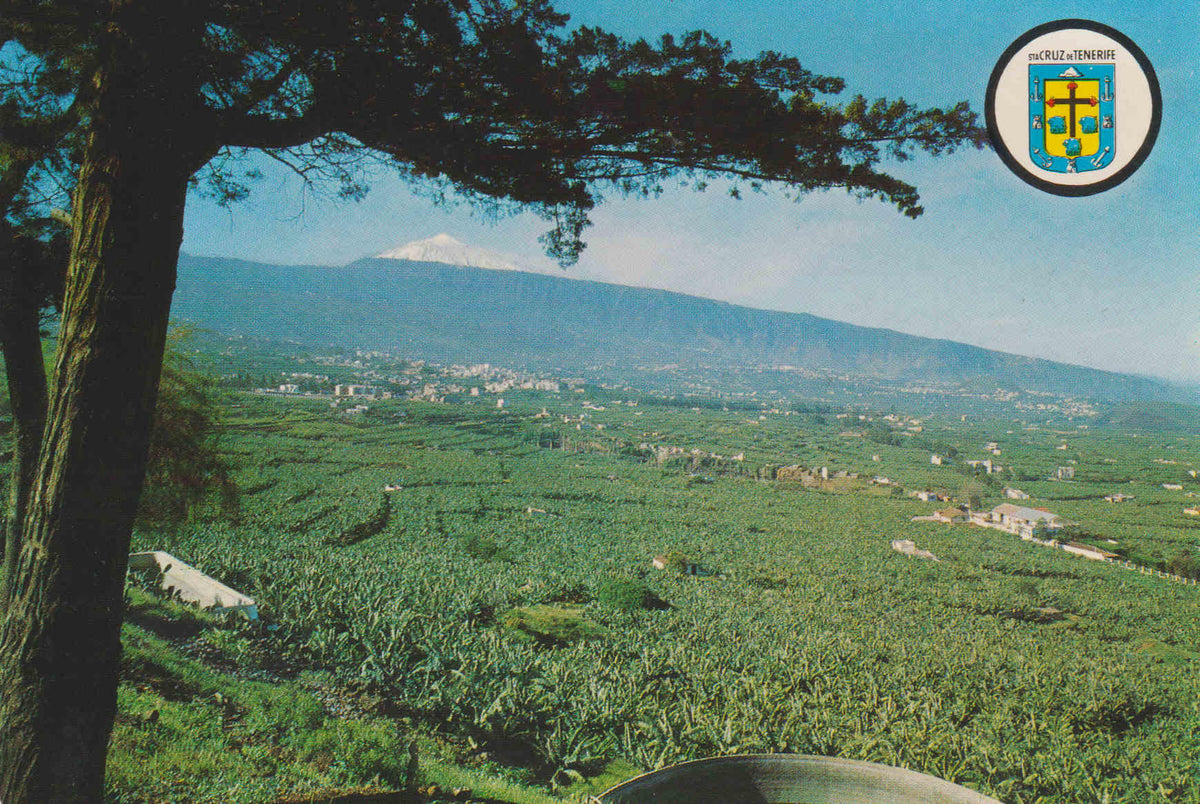 POSTAL 62871 : Tenerife. Valle de la Orotava. España