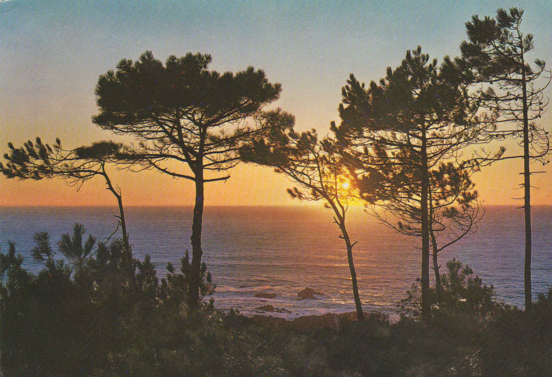 POSTAL 62873 : Pontevedra. La Guardia. Puesta de Sol. España