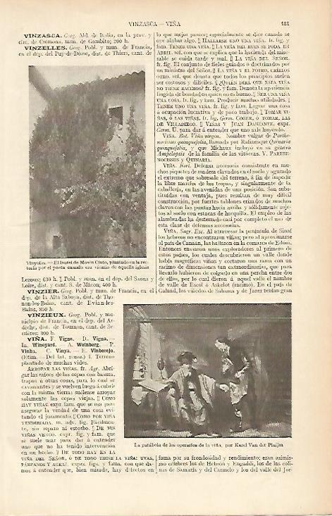 LAMINA ESPASA 4072: El laurel de Verdaguer en Vinyoles Barcelona