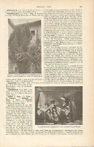 LAMINA ESPASA 4072: El laurel de Verdaguer en Vinyoles Barcelona