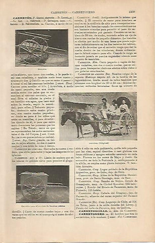 LAMINA ESPASA 4376: Carreton