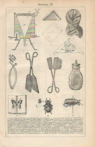 LAMINA ESPASA 4629: Utensilios para insectos