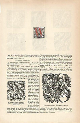 LAMINA ESPASA 4187: La letra W