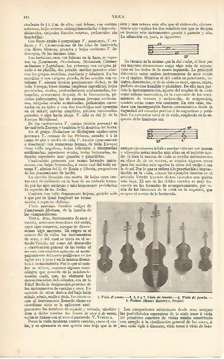 LAMINA ESPASA 4075: Violas