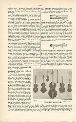LAMINA ESPASA 4075: Violas