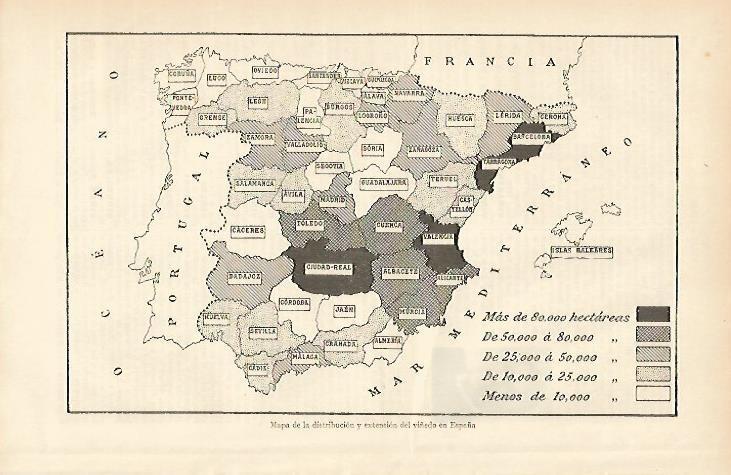 LAMINA ESPASA 4073: Mapa de España de viñedo
