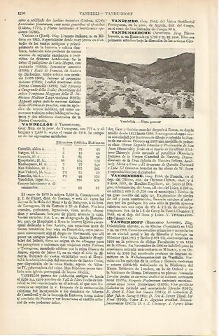 LAMINA ESPASA 4859: Vista general de Vandellos Tarragona