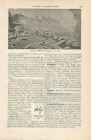 LAMINA ESPASA 5039: Defensa de Rambervillers de Levy