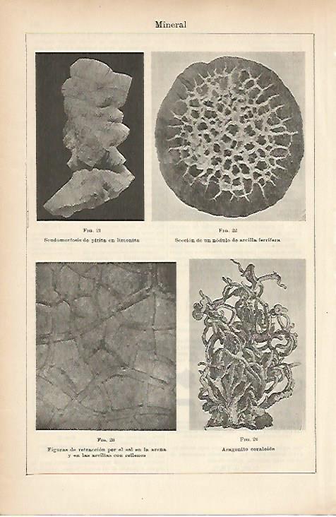 LAMINA ESPASA 5195: Minerales