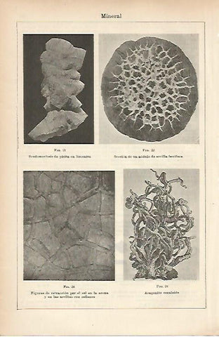 LAMINA ESPASA 5195: Minerales