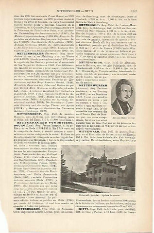 LAMINA ESPASA 5289: Finca de recreo en Mittewald Austria