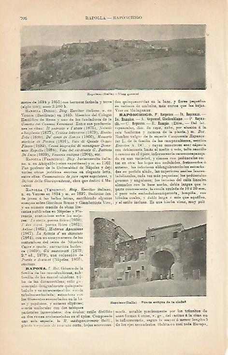 LAMINA ESPASA 5064: Vista general de Rapolano Italia