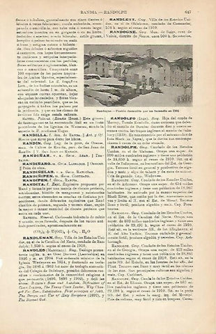 LAMINA ESPASA 5053: Pueblo destruido en 1901 en Randogne Suiza