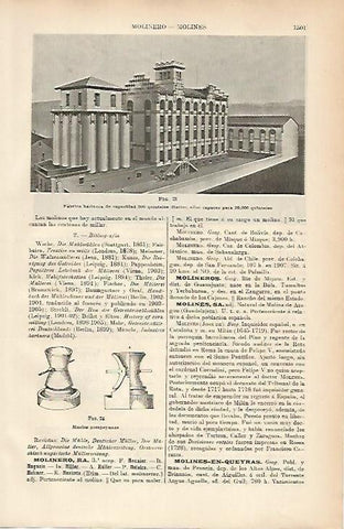 LAMINA ESPASA 5342: Fabrica de harina