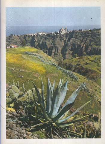 Gran Canaria: Lamina 32: Villa de Moya
