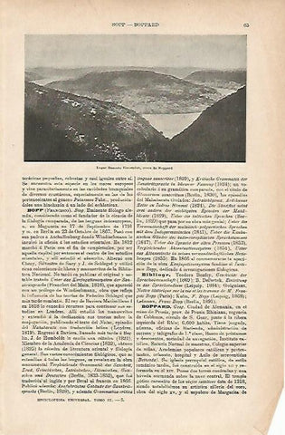 LAMINA ESPASA Alemania 11776: Vierseeplatz cerca de Boppard Alemania