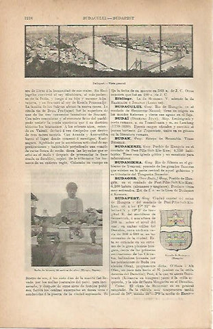 LAMINA ESPASA 11845: Vista general de Budapest Hungria