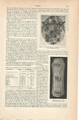 LAMINA ESPASA 14334: Escudo de los Reyes Catolicos
